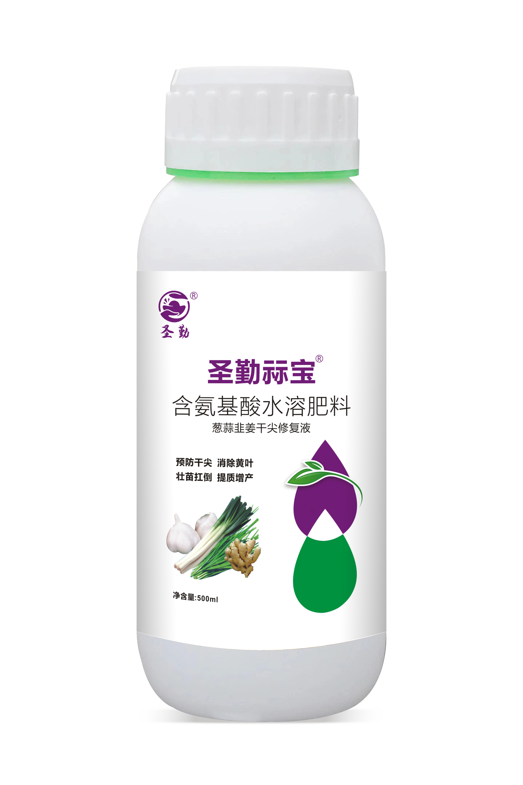 圣勤祘宝®葱姜蒜韭干尖