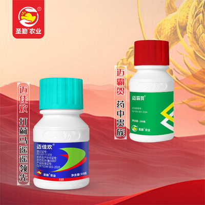 核心产品